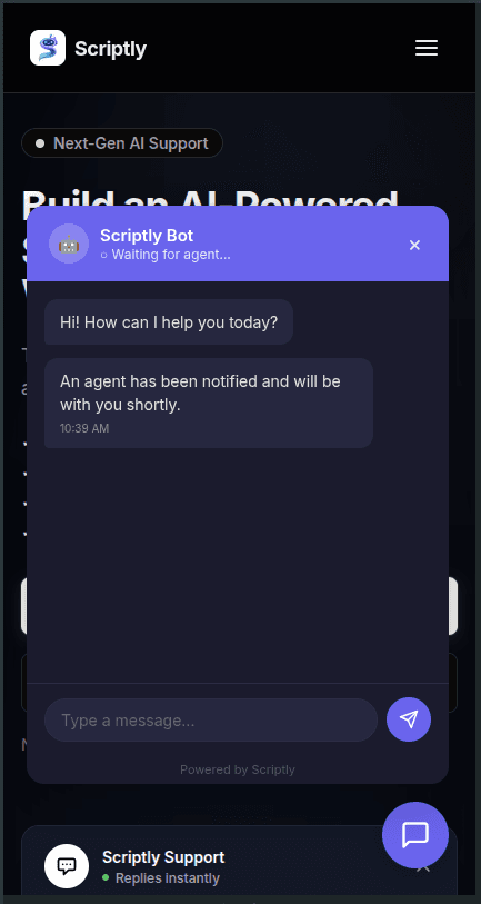 Scriptly — visual 4
